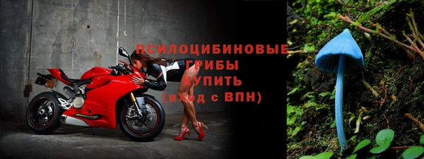 прущий лед Алексин