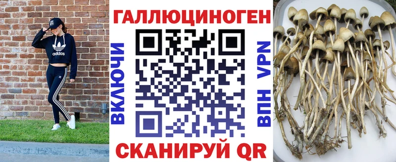 Галлюциногенные грибы Psilocybine cubensis  Сухиничи 